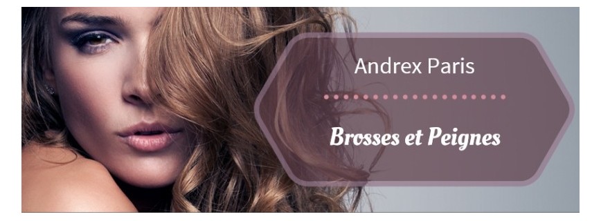 Brosses et Peignes